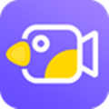 特效视频极速版