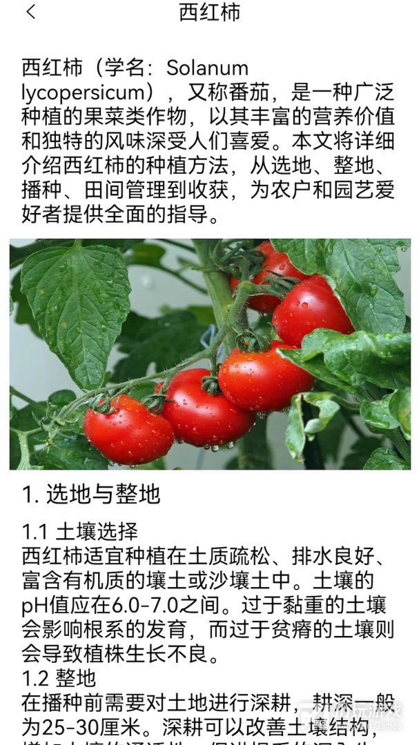 慢节奏手游合集