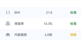 精品实用的减脂手机软件排行榜