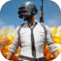pubg绝地求生轻量版