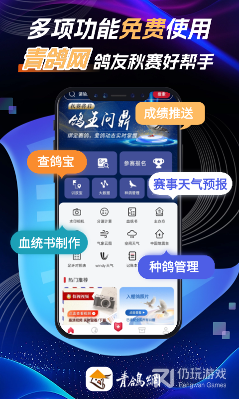 青鸽网