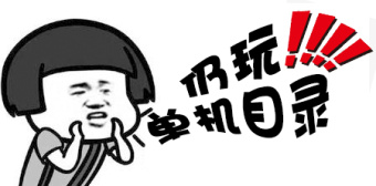 仍玩单机目录