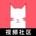 猫咪u9