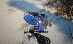 《生化危机8》极品禽肉位置介绍