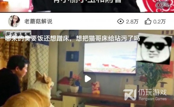 属它所有版本手机软件合集