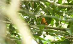 2021《APP限免》5月15日ios限时免费APP一览