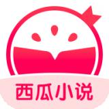 西瓜小说无删减版