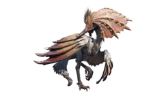 《怪物猎人：崛起》伞鸟怪物介绍