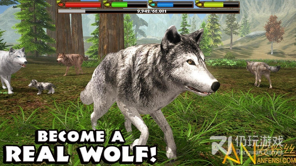 狼群模拟器最新版