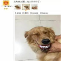 淘宝买家秀