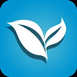 叶子视频纯净版