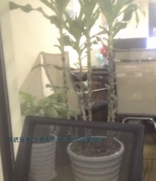 资色直播历史版本手机软件合集