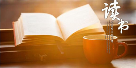 热门网文手机软件合集